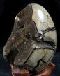 Septarian Dragon Egg Geode - Crystal Filled #37443-2